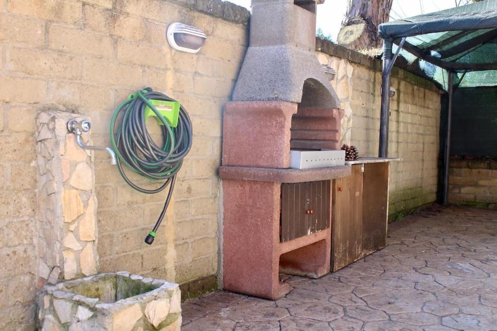 Apartament The Garden House Fco, Self Check In And Free Private Parking Fiumicino Zewnętrze zdjęcie