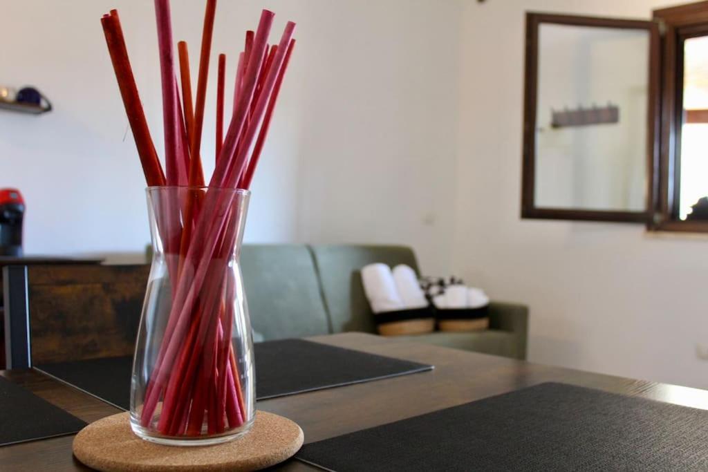 Apartament The Garden House Fco, Self Check In And Free Private Parking Fiumicino Zewnętrze zdjęcie